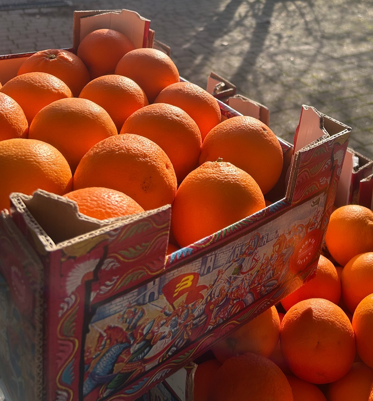 Oranges Tarocco de Sicile – QUALITÉ PREMIUM – 6,5 Kg – Image 5