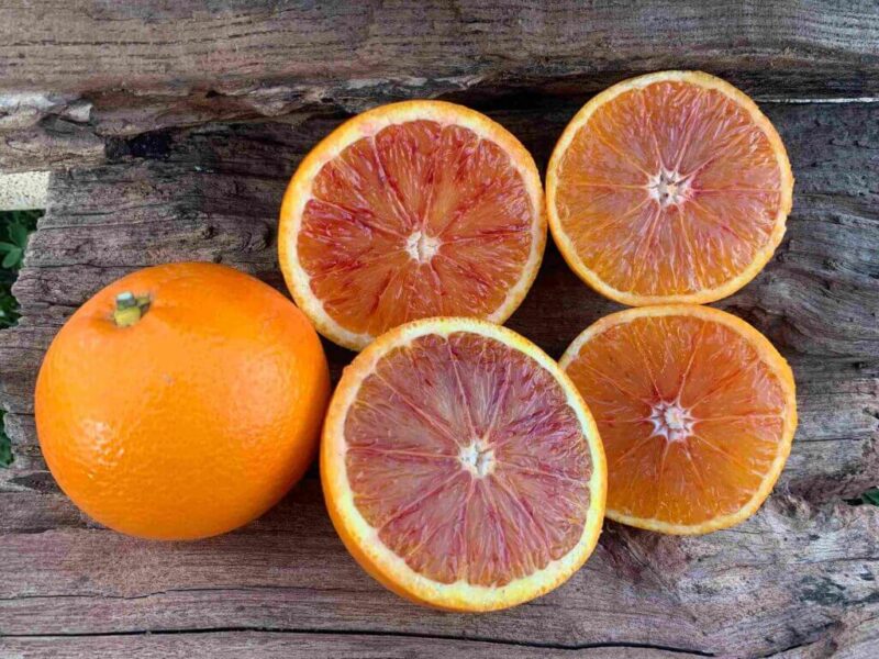 Oranges Tarocco de Sicile à la pulpe rouge